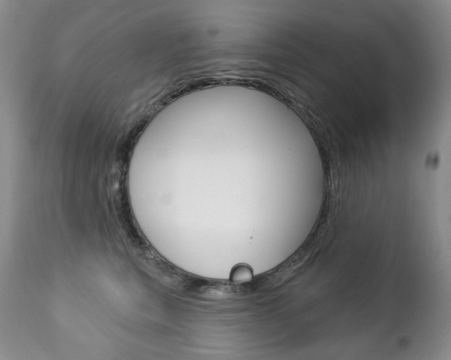 X0000112780567200908201416