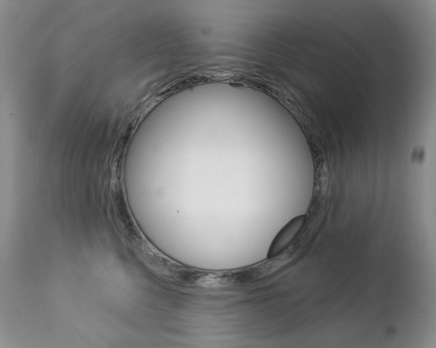 X0000112780568200908201416
