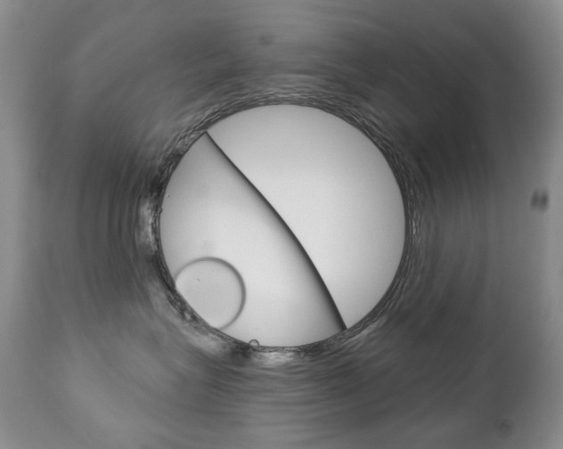 X0000112780575200908201417