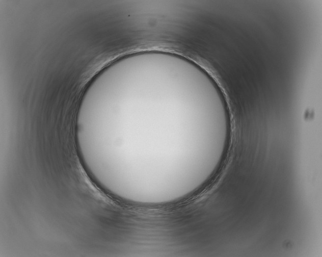 X0000112780577200908201416