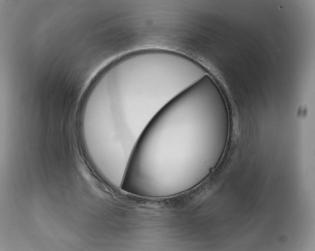 X0000112780580200908201416