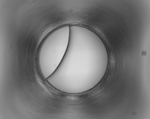 X0000112780582200908201416