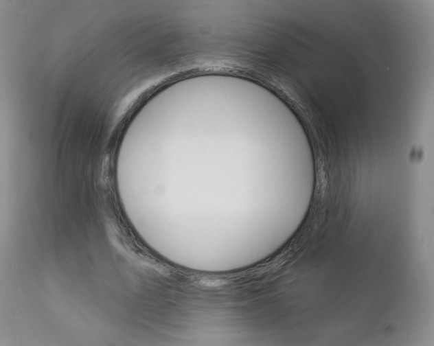 X0000112780583200908201416