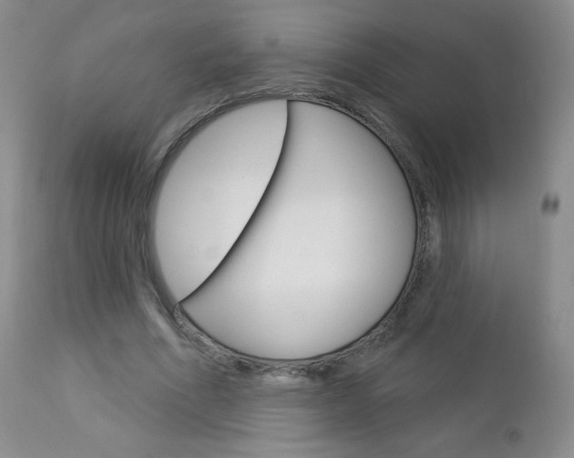 X0000112780586200908201416