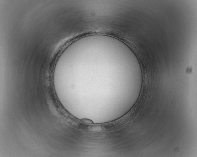 X0000112780587200908201416