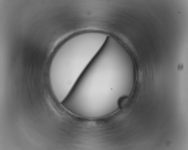 X0000112780588200908201416