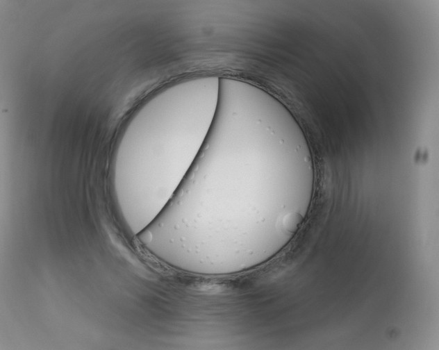 X0000112780590200908201416
