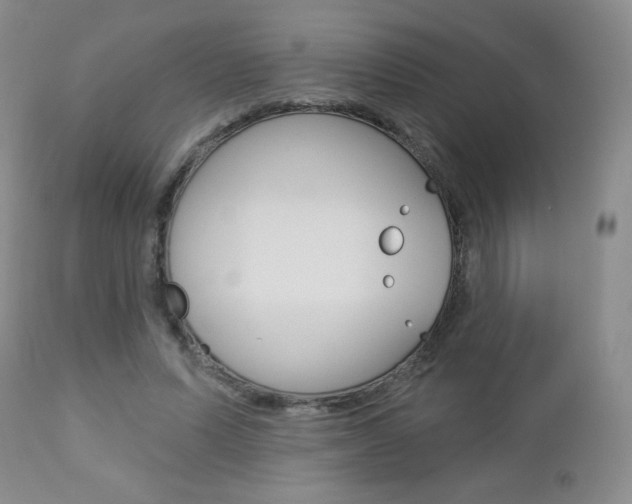 X0000112780591200908201416