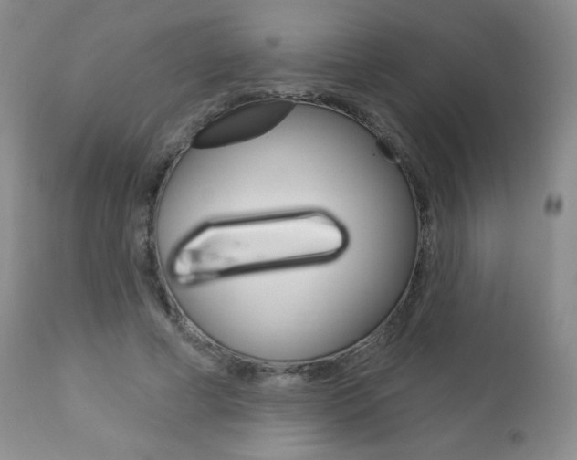 X0000112780593200908201416