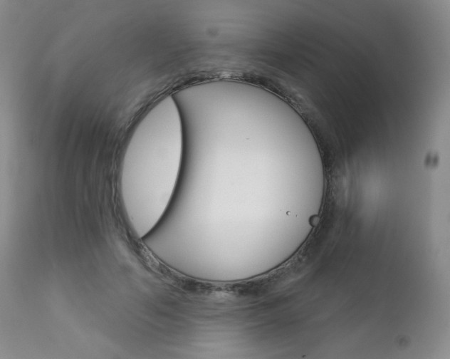 X0000112780594200908201416