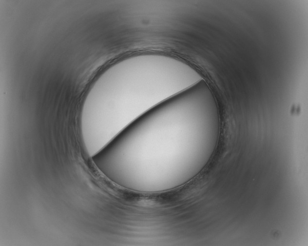 X0000112780596200908201416