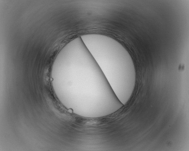 X0000112780599200908201416