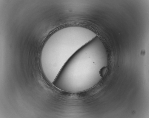 X0000112780600200908201416