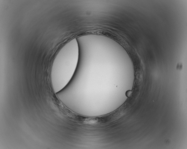 X0000112780602200908201416