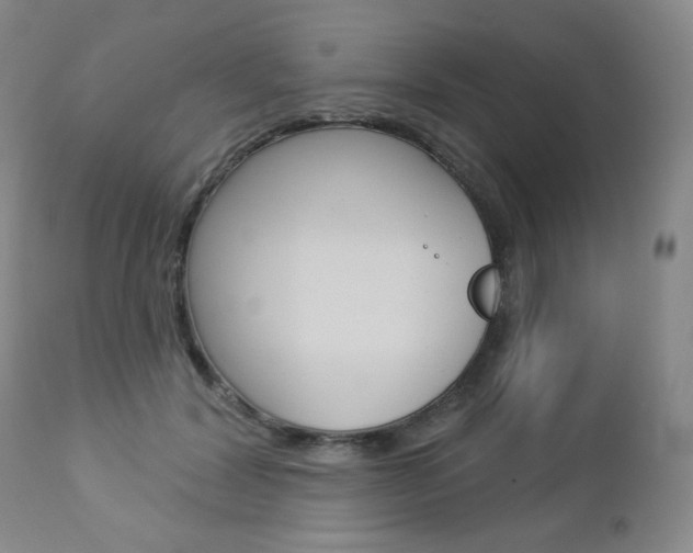 X0000112780604200908201415