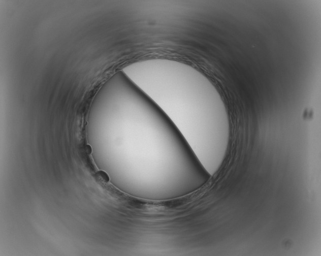 X0000112780605200908201415