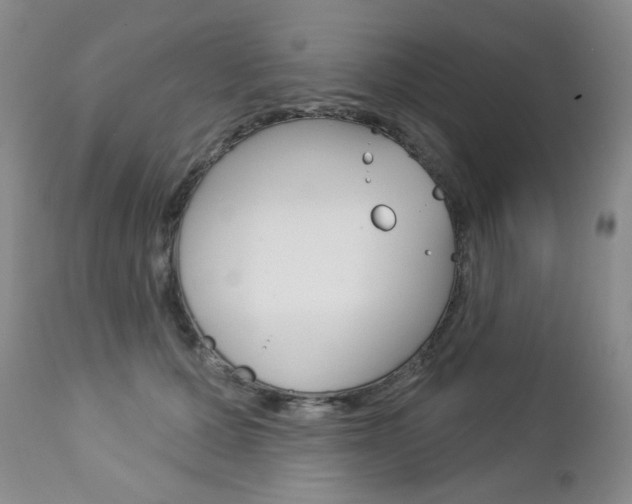 X0000112780607200908201415
