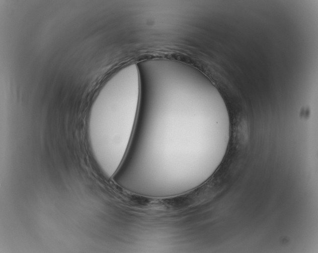 X0000112780608200908201415