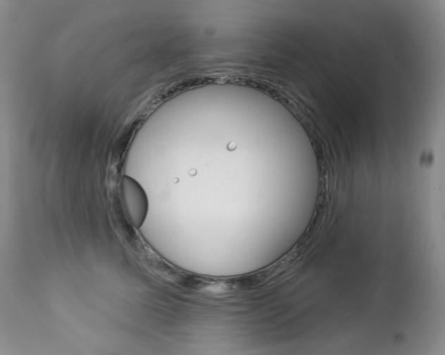 X0000112780611200908201415