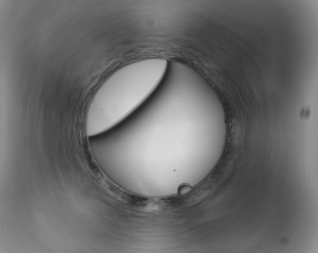 X0000112780612200908201415