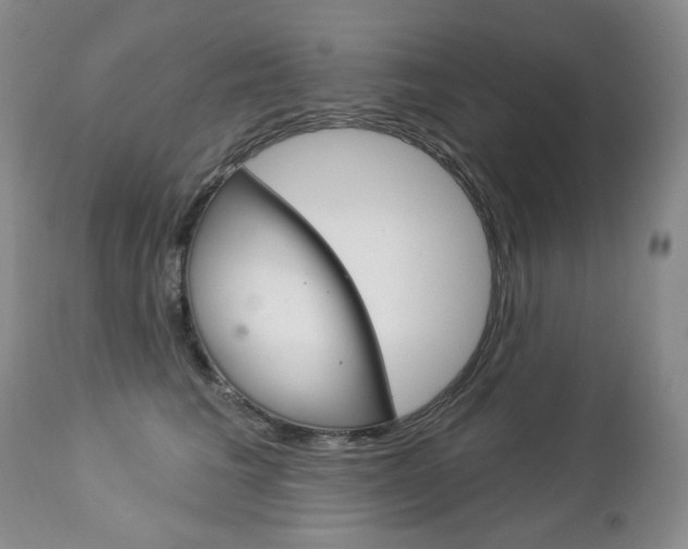 X0000112780613200908201415