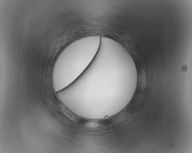 X0000112780614200908201415
