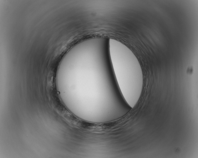 X0000112780615200908201415