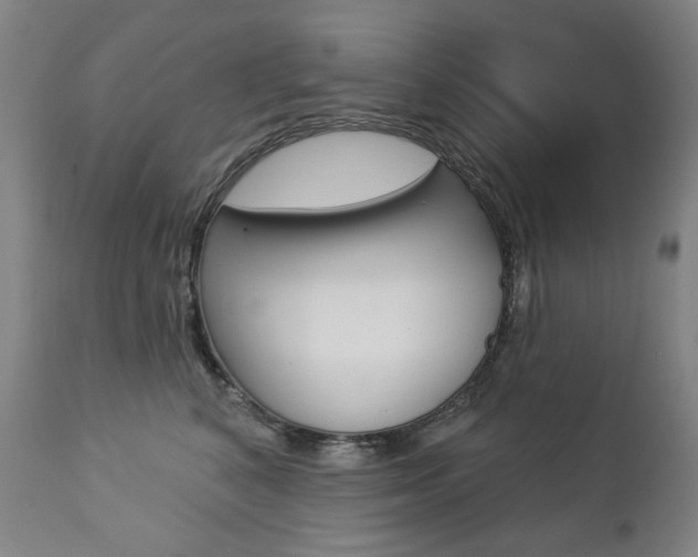 X0000112780616200908201415