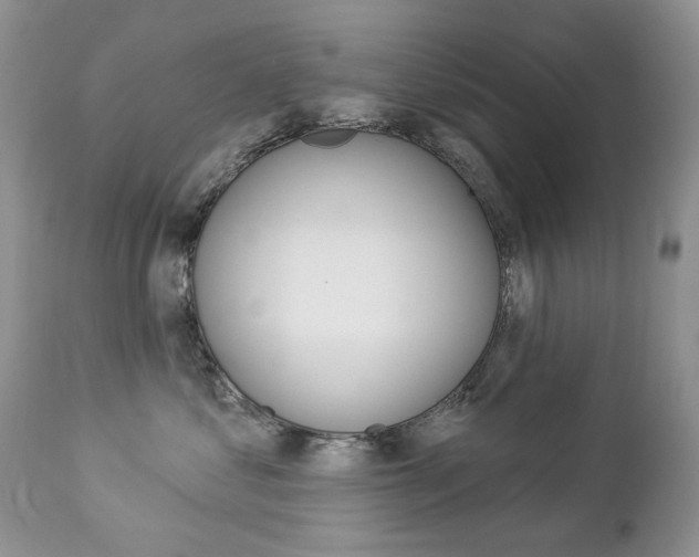 X0000112780621200908201415