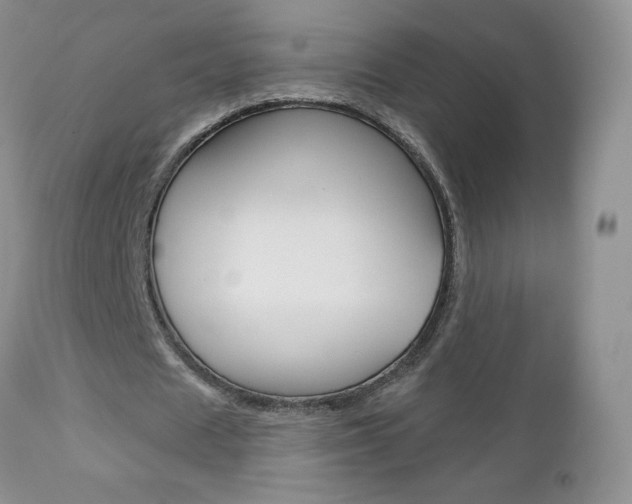 X0000112780625200908201414