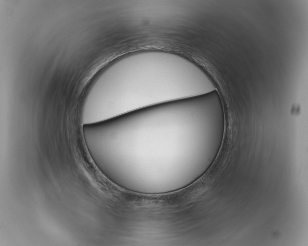 X0000112780626200908201414