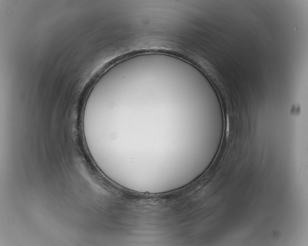 X0000112780627200908201414