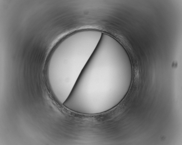 X0000112780628200908201414