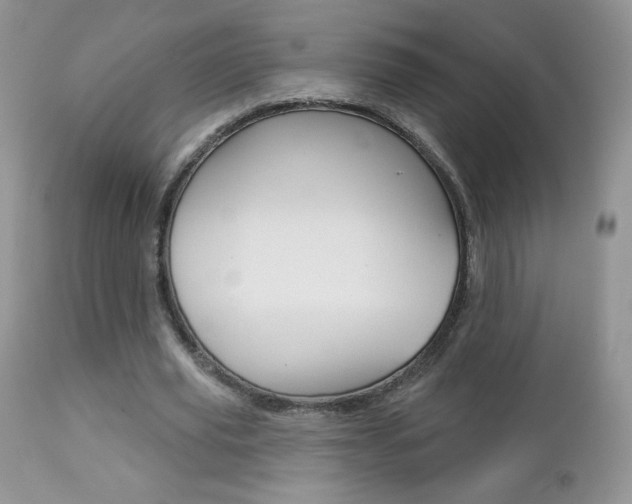 X0000112780629200908201414