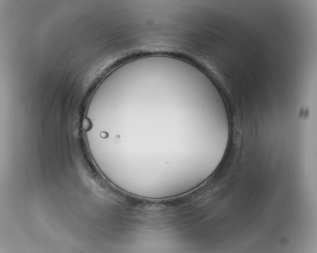 X0000112780631200908201414