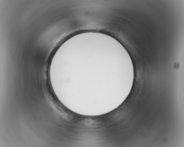 X0000112780632200908201414