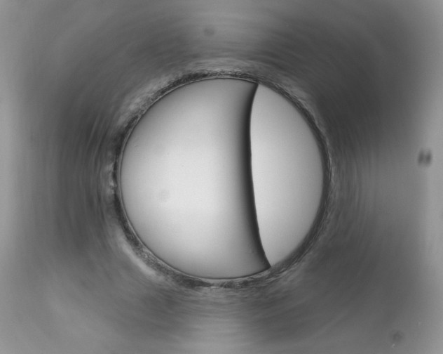 X0000112780633200908201414