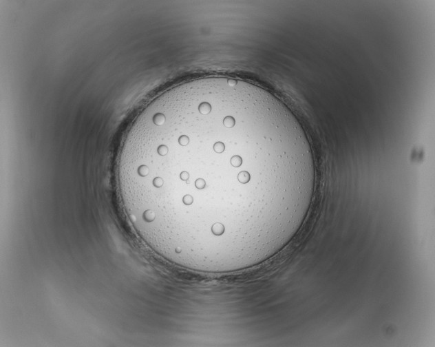 X0000112780635200908201415