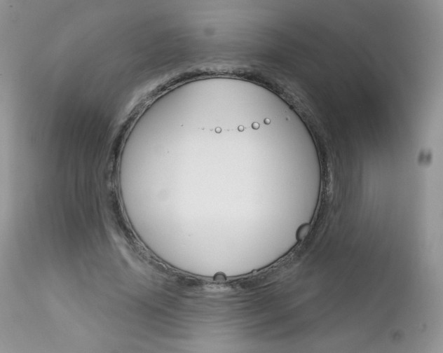X0000112780636200908201415