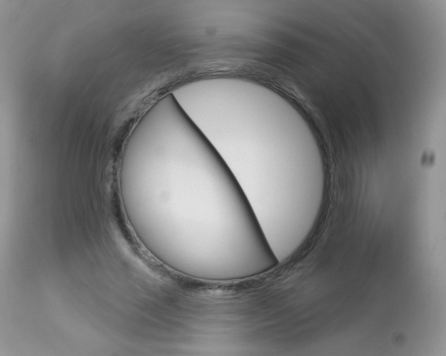 X0000112780637200908201415