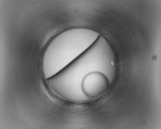 X0000112780638200908201415