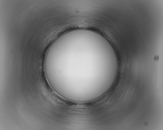X0000112780639200908201415