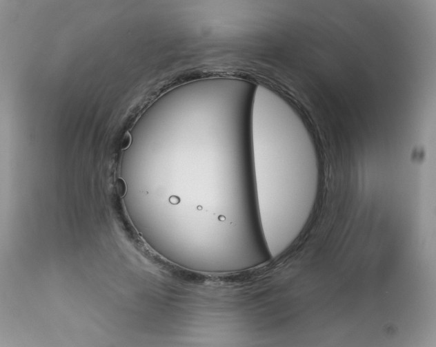X0000112780641200908201415