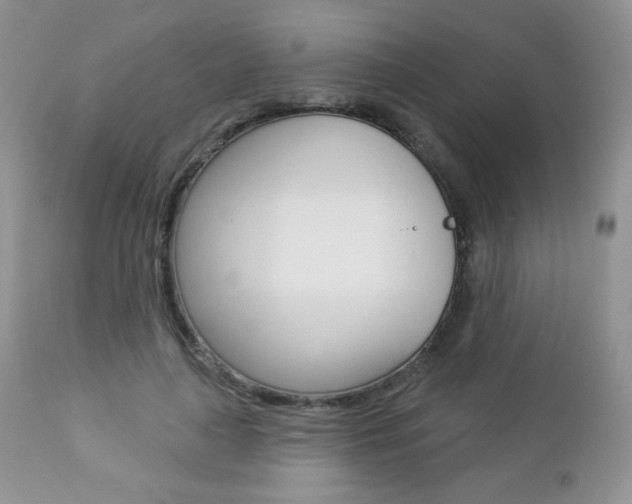 X0000112780643200908201415