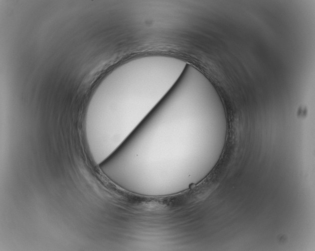 X0000112780644200908201415