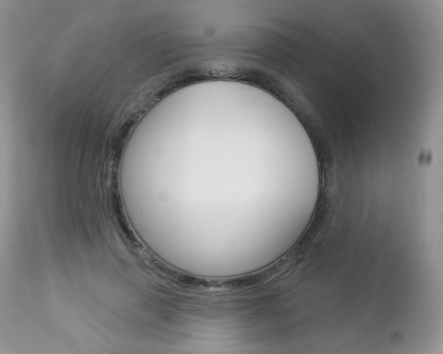 X0000112780645200908201415
