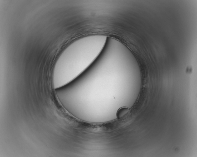 X0000112780646200908201415