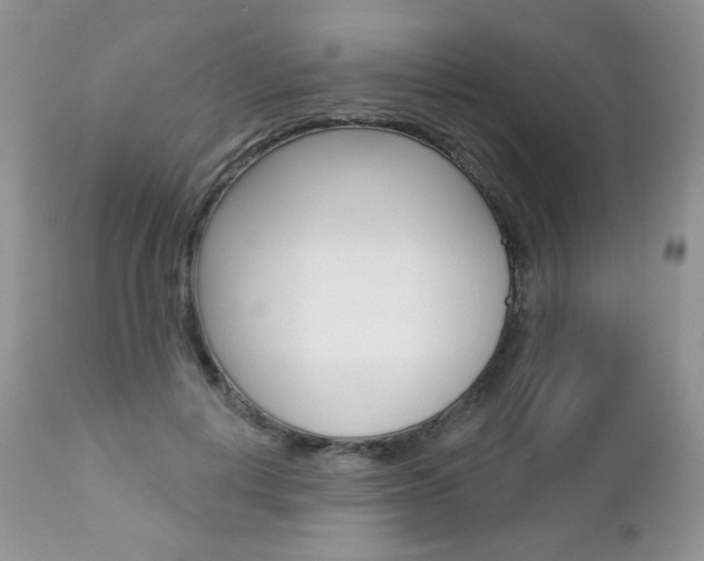 X0000112780648200908201415