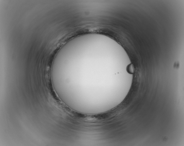 X0000112780650200908201415