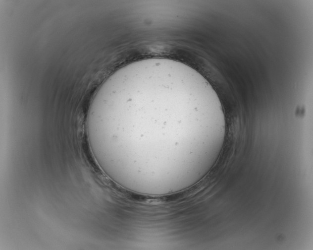 X0000112780651200908201415